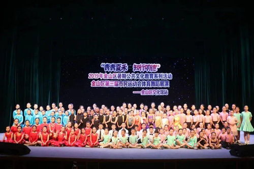 鑫文企新起航，金山區社會文化組織文藝匯演璀璨綻放