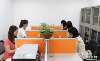 軟硬件開發職場生存法則 從技能精進到職業發展的全面指南